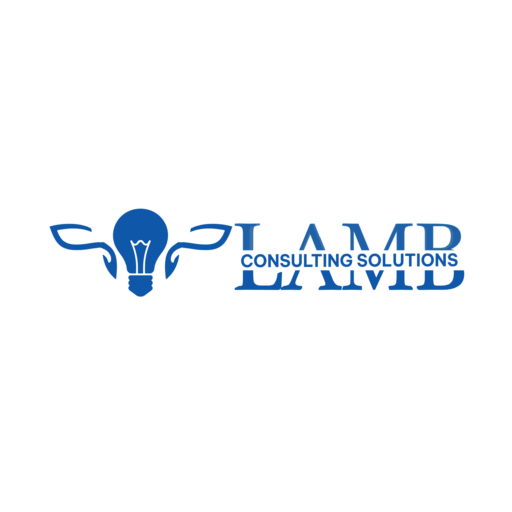 LAMB Consulting Solutions